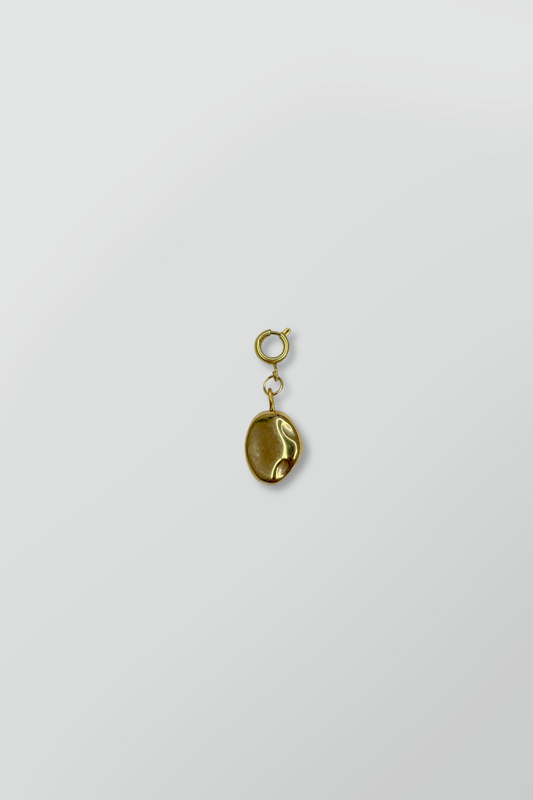 GOLDEN RAISIN CHARM